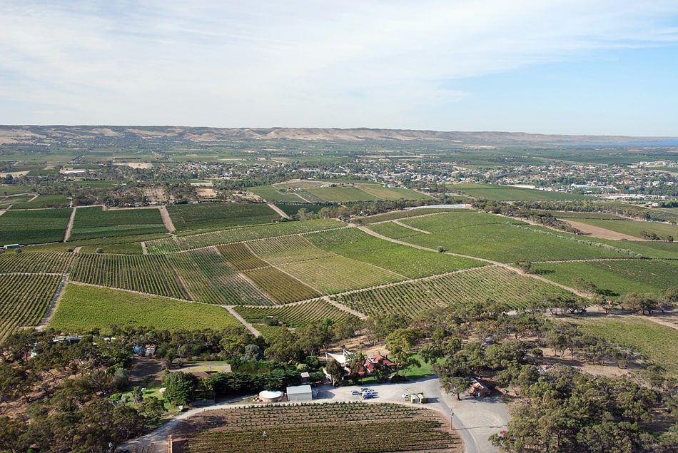 https://www.vinocorpperu.com/images/bodegas/darenberg/McLaren Vale-min-min.jpg